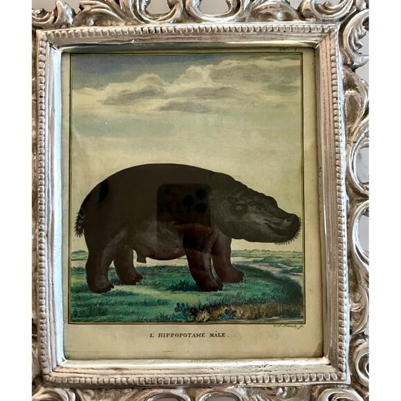 Large Pewter Ornate Picture Frame Hippopotamus Illustration Heavy 8 x 6.5" - Picture 9 of 11